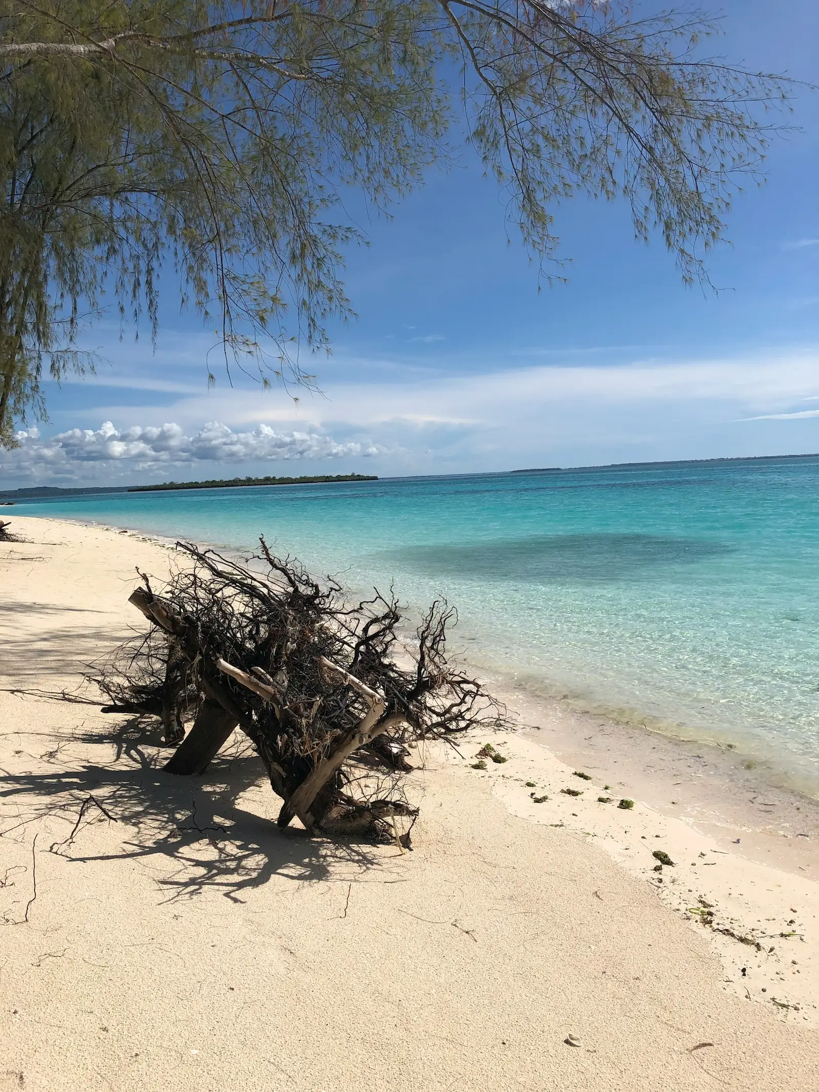 Pemba beachfront